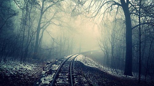 Järnvägsspår genom dunkel skog